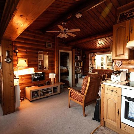Rustic Log Cabin In Snowdonia By Seren Short Stays Trawsfynydd Buitenkant foto