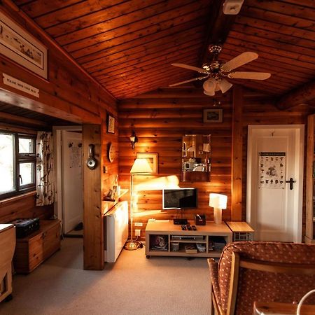Rustic Log Cabin In Snowdonia By Seren Short Stays Trawsfynydd Buitenkant foto