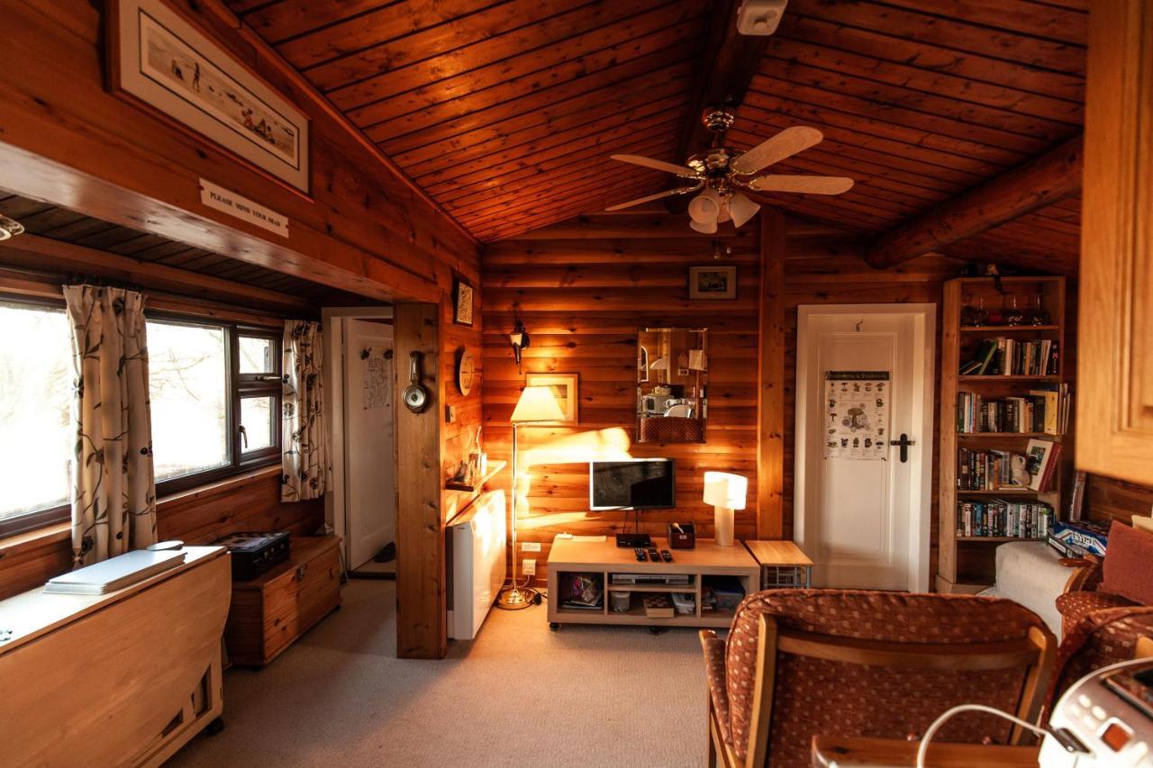 Rustic Log Cabin In Snowdonia By Seren Short Stays Trawsfynydd Buitenkant foto