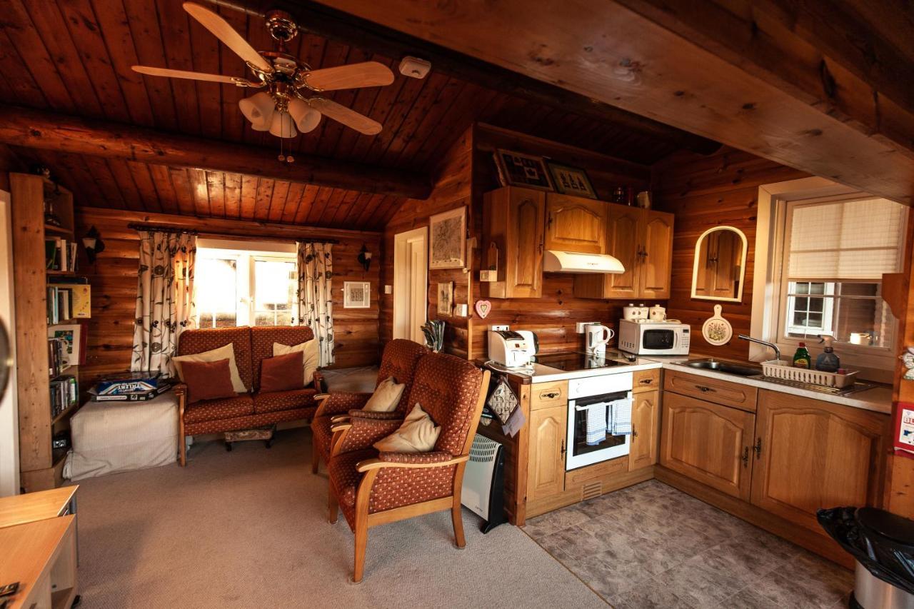 Rustic Log Cabin In Snowdonia By Seren Short Stays Trawsfynydd Buitenkant foto