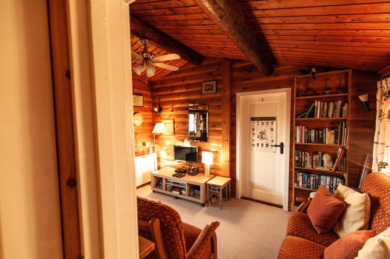 Rustic Log Cabin In Snowdonia By Seren Short Stays Trawsfynydd Buitenkant foto